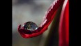 Amazing Photography